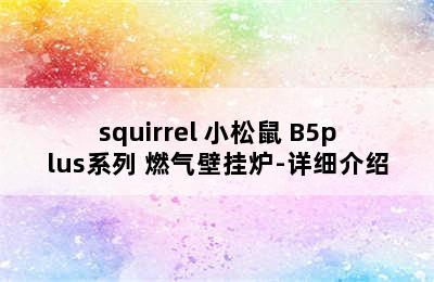 squirrel 小松鼠 B5plus系列 燃气壁挂炉-详细介绍